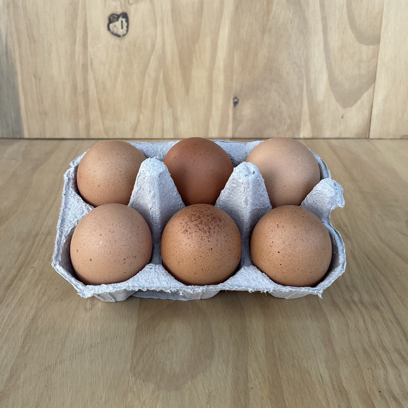 Oeufs (x12)
