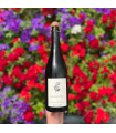 Antidote du Domaine des Griottes (75cL)