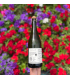 Antilope du Domaine des Griottes (75cL)