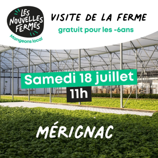 Visite Samedi 18 Juillet - 11H - Ferme urbaine aquaponique à Bordeaux