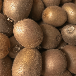 Kiwis verts (1kg) - Ferme urbaine aquaponique à Bordeaux