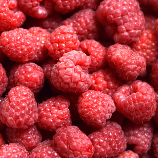 Framboises (unité 125g) - Ferme urbaine aquaponique à Bordeaux