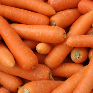 Carottes (1kg) - Ferme urbaine aquaponique à Bordeaux