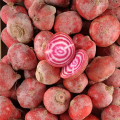 Betteraves Chioggia (500g)