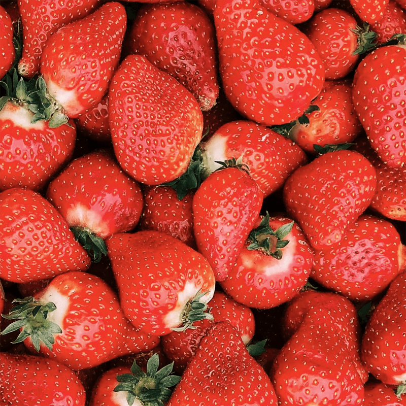Fraises Cléry (unité 500g)