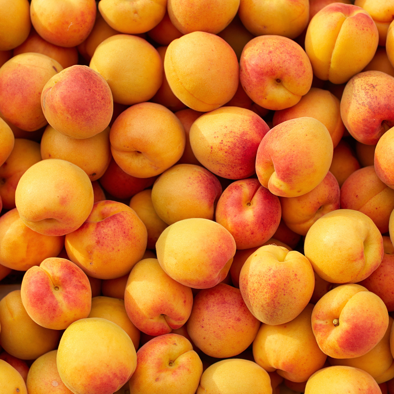 Abricots (500g)