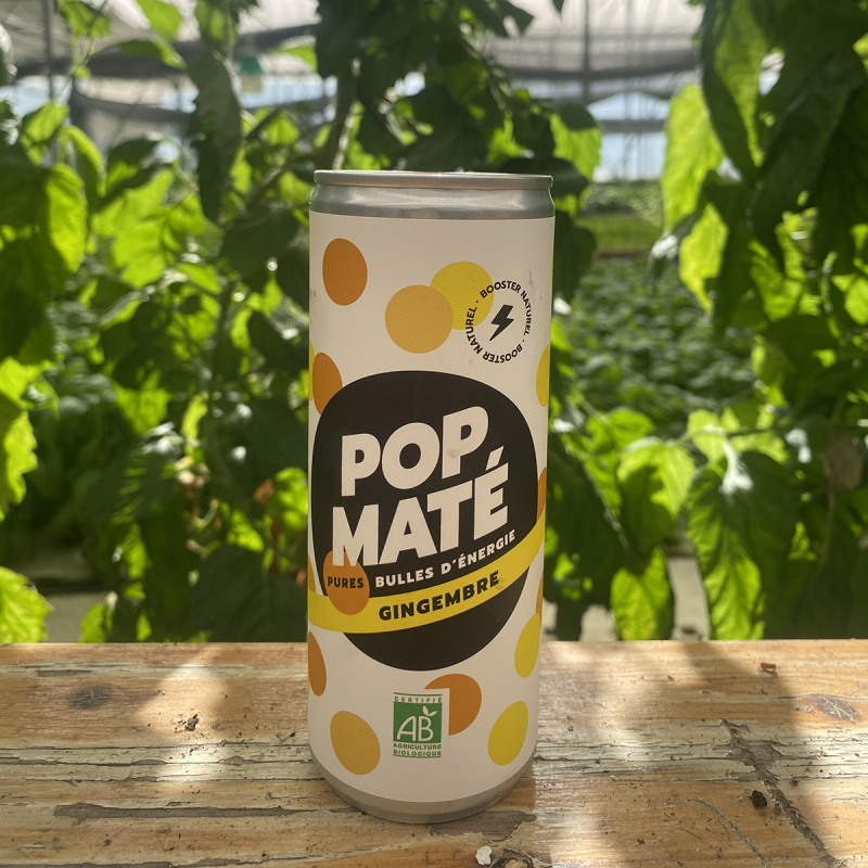 POP Maté - Gingembre (25cl)