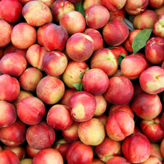Nectarines blanches (500g) - Ferme urbaine aquaponique à Bordeaux