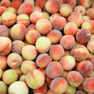 Pêches blanches (1kg) - Ferme urbaine aquaponique à Bordeaux