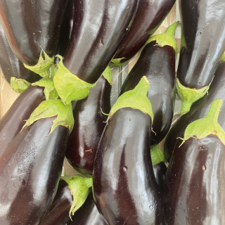 Aubergines (kg) - Ferme urbaine aquaponique à Bordeaux
