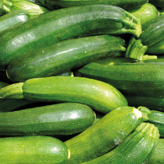 Courgettes (1kg) - Ferme urbaine aquaponique à Bordeaux