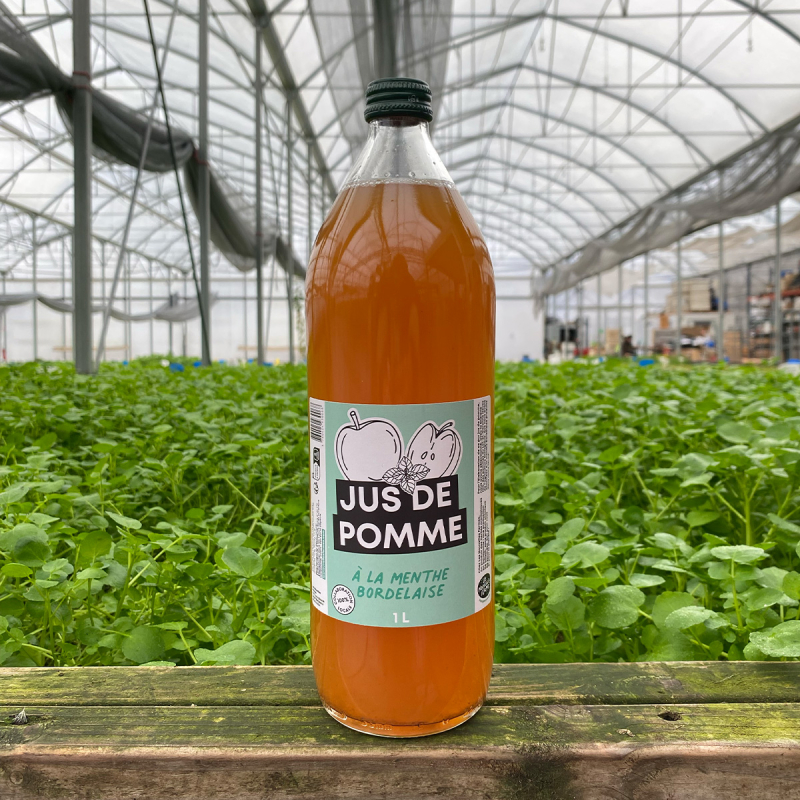 Jus de pomme à la menthe (1L)
